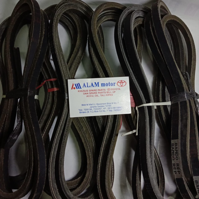 V-Belt V-Ribbed